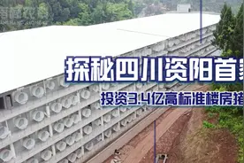探秘四川资阳首家投资3.4亿高标准楼房猪场视频封面