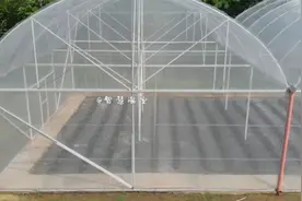 家庭无土栽培蔬菜大棚，简单便捷，你值得拥有视频封面