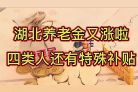 湖北省2020年退休养老金又涨了：四类人还有特殊补贴，来看看吧视频封面