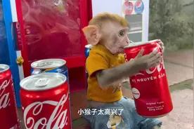 小猴子贪凉喝了太多饮料，结果肚子疼到不行爬到厕所视频封面