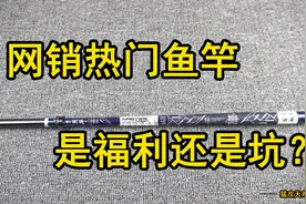 网销热门鱼竿是福利还是坑？猛攻天斧视频封面