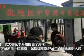 首批援鄂医护受邀来武大赏樱：我们只做了一点微不足道的工作视频封面