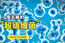神秘的印度恒河，隐藏着克制令人闻风丧胆的超级细菌的解药视频封面