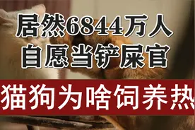居然有6800万人在养猫狗！当中有你么？猫狗为啥如此得宠？