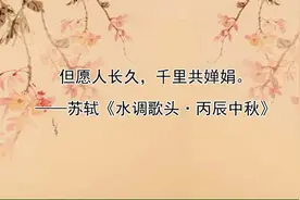盘点最触动心灵的20句古诗词，你最喜欢那一句？视频封面