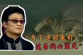 2464人要求“炸死”导演，为了效果炸死军勋犬的姚守岗，被骂了视频封面