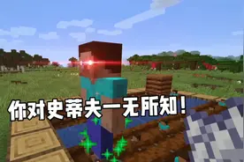 我的世界：老玩家才知道的秘密，史蒂夫竟然是生在地上的！