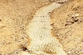 为啥现在很多农村的河流都干涸，没有水了？最终的答案引人深思