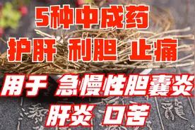 5种中成药，护肝，利胆，止痛，用于急慢性胆囊炎、肝炎、口苦视频封面