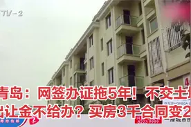 青岛：网签办证拖5年！不交土地出让金不给办？买房3千合同变2千视频封面