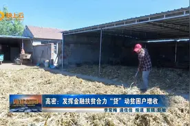 潍坊高密：发挥金融扶贫合力 “贷”动贫困户增收视频封面