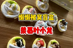 迷你世界：羡慕里面的叶小龙！视频封面