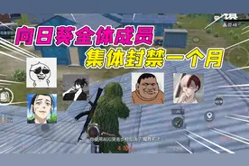 007号解密：向日葵全体成员集体拉闸，都被封禁了一个月！视频封面