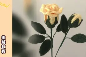 用毛线钩针编织一束仿真玫瑰花，精致漂亮永不凋谢，组装教程简单视频封面