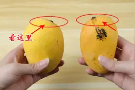 原来芒果要这样挑选，一挑一个准，再也不怕买到酸芒果了，真实用视频封面
