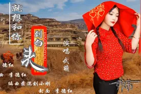 新创黄土情歌《就想和你到白头》演唱：武萌视频封面