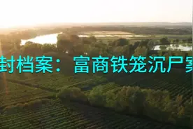 尘封档案：富商铁笼沉尸案视频封面
