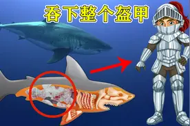 6个在动物体内发现的奇怪东西！鲨鱼的肚子里发现完整的盔甲？视频封面