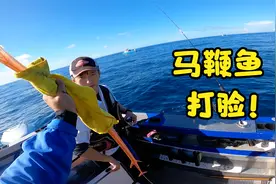 活的马鞭鱼这么厉害？上船一顿死亡翻滚，指哪打哪！视频封面