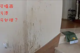 硅藻泥墙面发霉怎么处理？简单一步，墙面复新视频封面