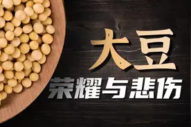 【鬼谷闲谈】一颗大豆背后的千年历史视频封面