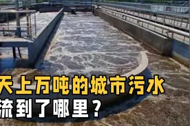 城市每天上万吨的生活废水，最后都是如何处理的？视频封面