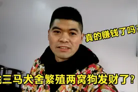 姚三马犬舍繁殖两窝狗发财了？20条狗崽能赚多少钱？三马说出实情视频封面