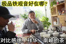 极品铁观音好喝在哪？对比感德祥华南崎的茶，老师傅为何独爱这款视频封面