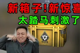 陈大白：csgo新箱子！我这辈子都记住你了！