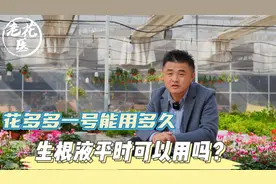 花多多一号能用多久？生根液平时可以用吗？养花巧妙小知识！视频封面