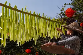油麦菜梗怎么做最好吃？教你简单做法，又香又脆又下饭视频封面