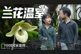 老温室被改成兰花天堂，昆明植物园是怎样做到的？视频封面