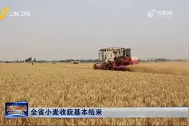 好消息！山东13市小麦已收获结束，淄博、济宁等10市完成玉米种植