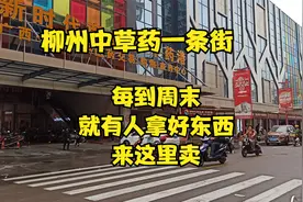 广西柳州中草药市集一条街，品类齐全，想买药材的来这里看就好视频封面