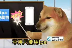 苹果手机！真的不能安装！apk！！！
