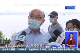 西湖边7棵柳树变成月季 专家：光照不足 出现病虫害视频封面