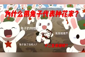 你知道为什么用兔子来代表中国吗？视频封面