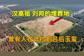 2000多年前刘邦的皇陵，有人曾在此捡到吕后玉玺，还能捡到宝物吗视频封面