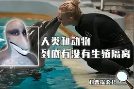 人和动物有生殖隔离吗？美国1963年秘密实验，海豚爱上了人类女性视频封面