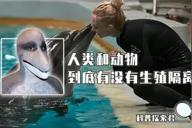 人和动物有生殖隔离吗？美国1963年秘密实验，海豚爱上了人类女性视频封面