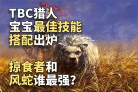 魔兽世界怀旧服：TBC猎人宝宝最佳技能搭配，掠食者风蛇谁最强？视频封面