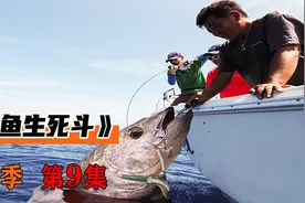 女子勇猛无比，在大海中挑战巨物，赚得盆满钵满视频封面