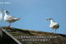 司马南批判各界场面：现在的教育活活折腾人，年轻人都不想生小孩视频封面