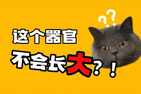 这个器官，不会长大？视频封面