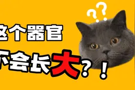 这个器官，不会长大？视频封面