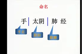 十二经脉命名原则和名称，手三阴经，手三阳经，足三阴经视频封面