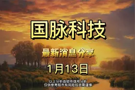 1.13 国脉科技 最新消息分享，看完绝对不吃亏视频封面