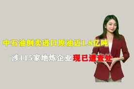 触目惊心！中石油倒卖进口原油近1.8亿吨，国务院调查组通报案情视频封面