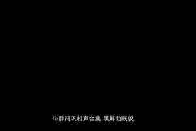 牛群冯巩相声合集 助眠版视频封面