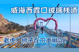 威海西霞口玻璃栈道，人在高处走，老虎狮子在下面瞅你，刺激吧？视频封面